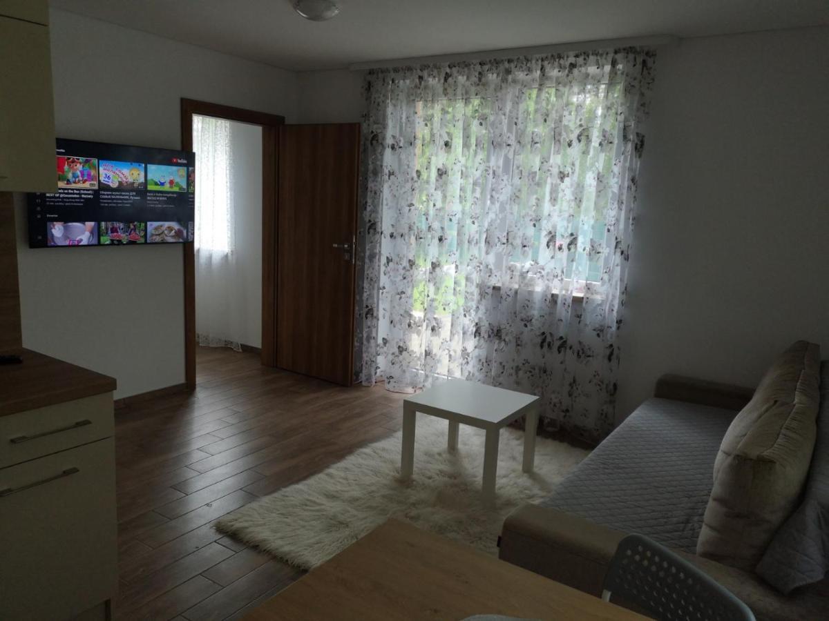 Kristinos Apartment Druskininkai Exterior photo