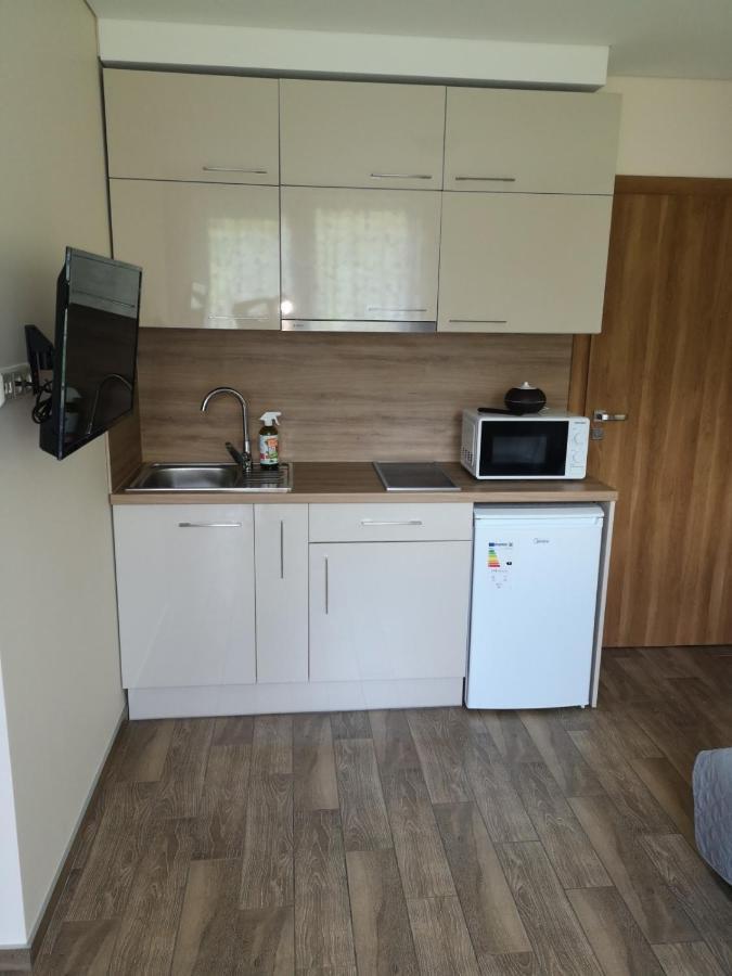 Kristinos Apartment Druskininkai Exterior photo