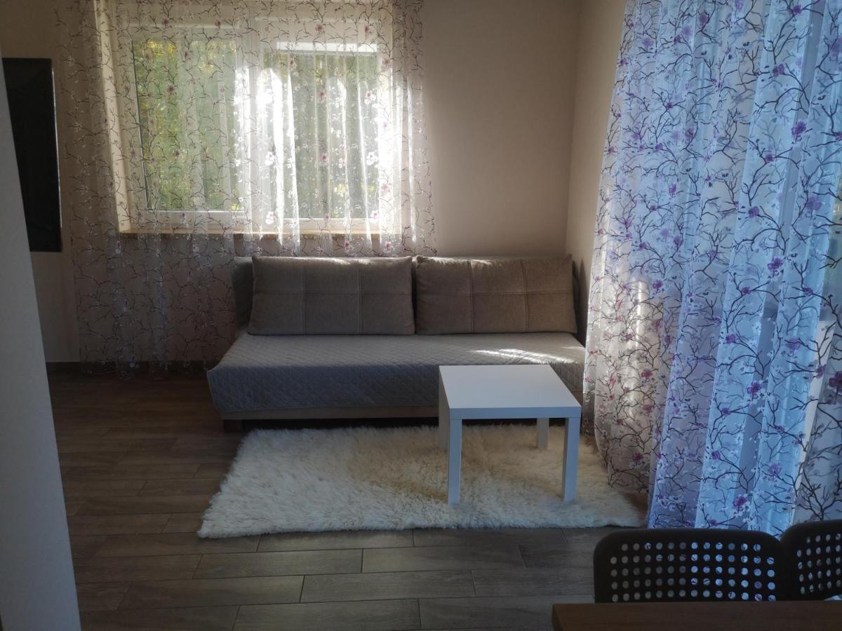 Kristinos Apartment Druskininkai Exterior photo