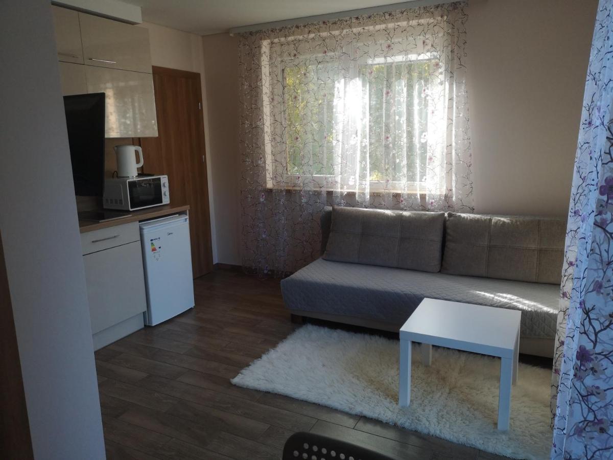 Kristinos Apartment Druskininkai Exterior photo